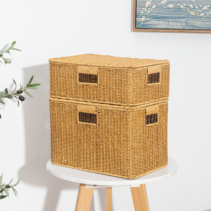 Women's Rectangular Storage Basket with Lid made of Natural Material Bowlift