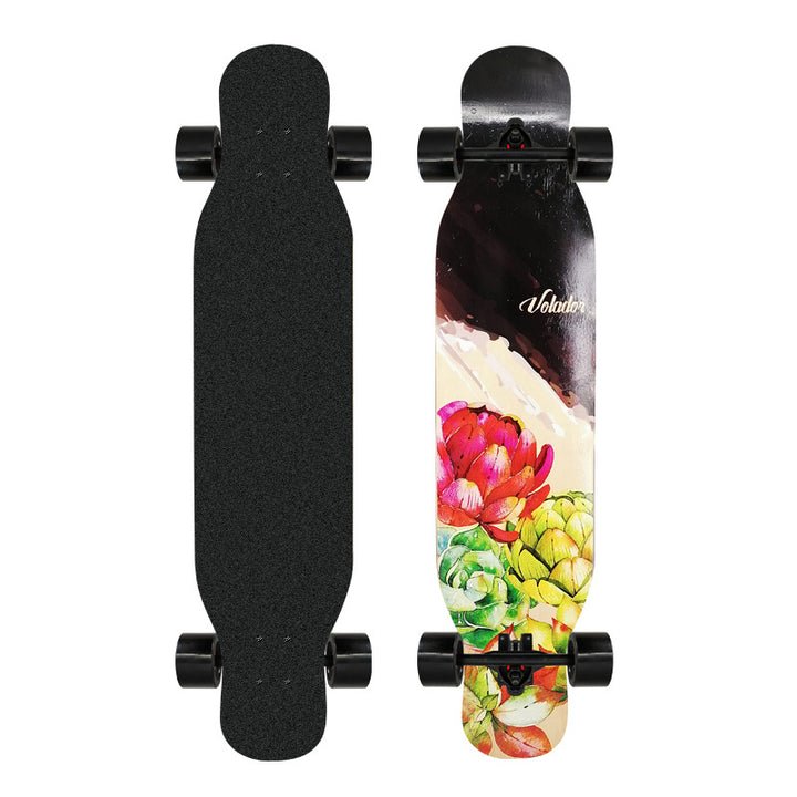 Artistic Lion-Emblazoned Longboard Bowlift