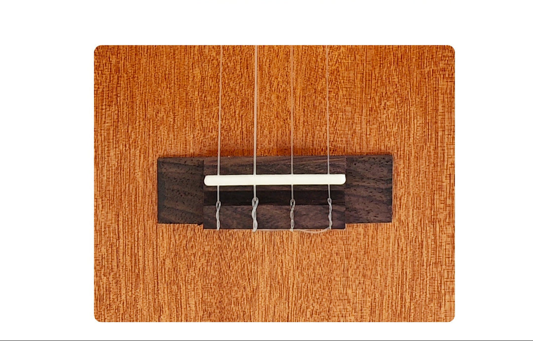 Mahogany Body Acoustic Ukulele Bowlift