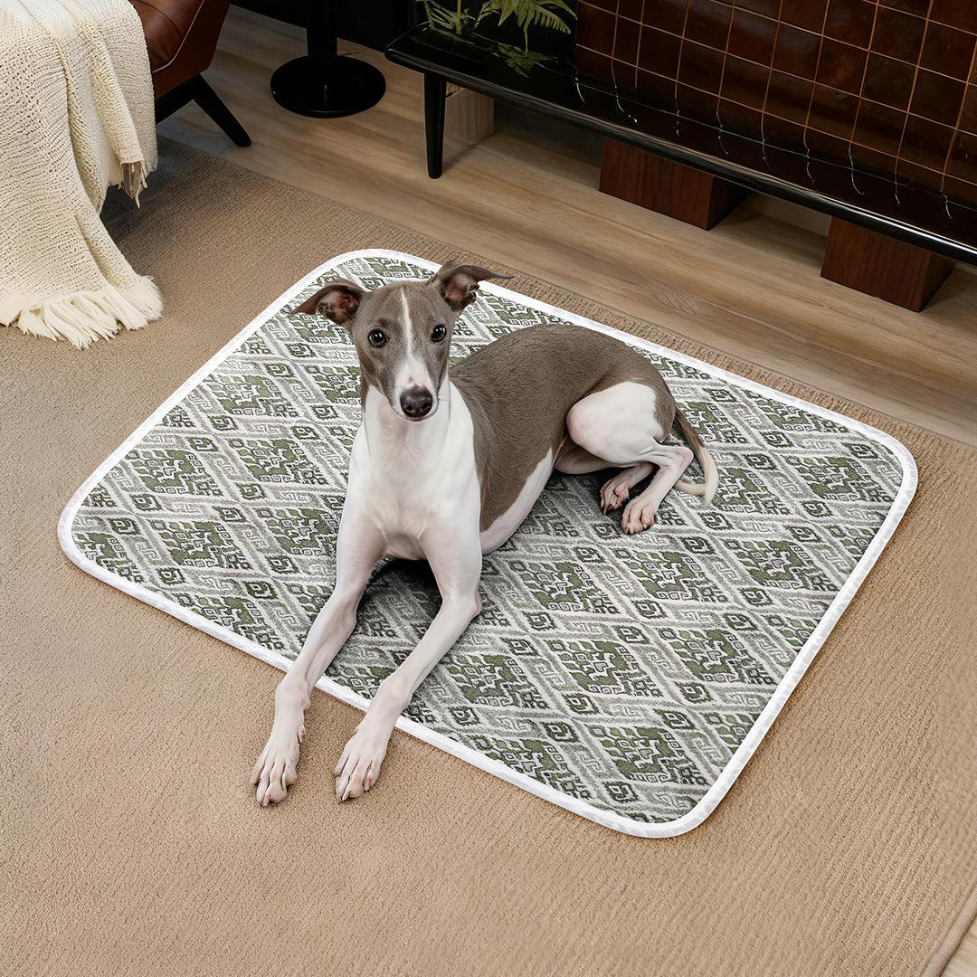 Unisex High-quality and stylish pet mat with modern pattern Bowlift