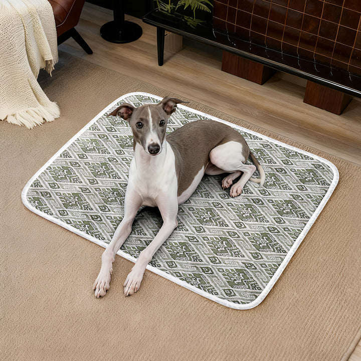 Unisex High-quality and stylish pet mat with modern pattern Bowlift