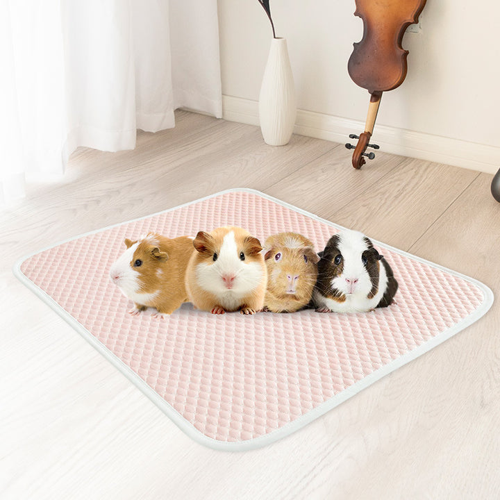 Unisex Antislip Shower Mat Bowlift