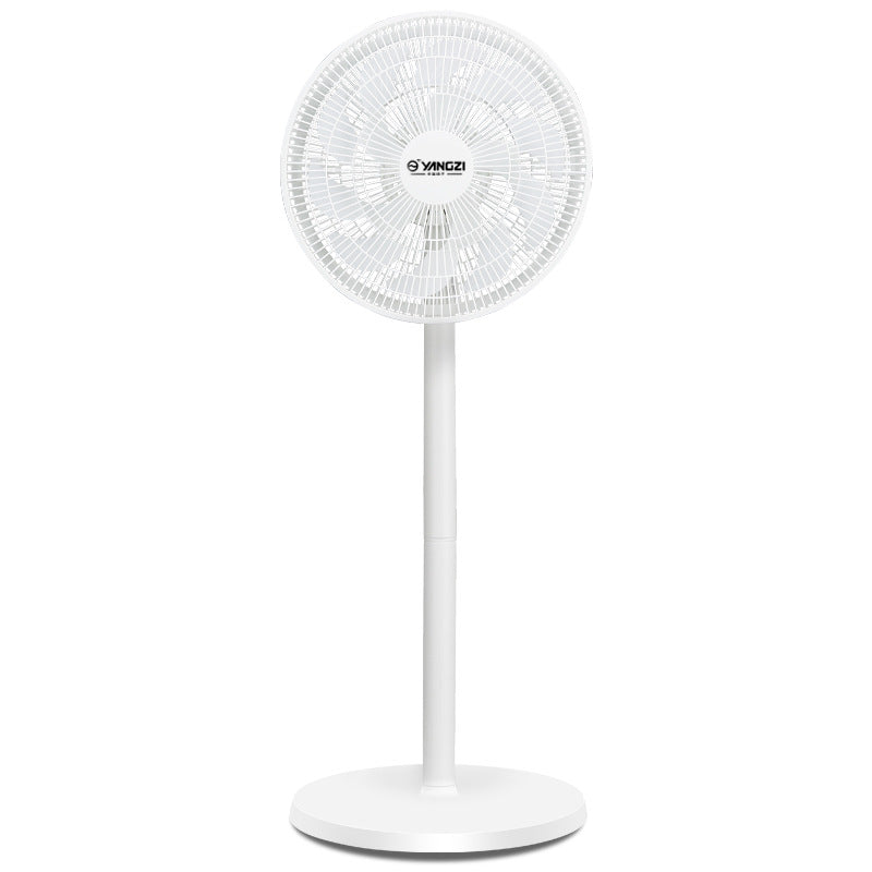 Ladies Stand Fan Bowlift