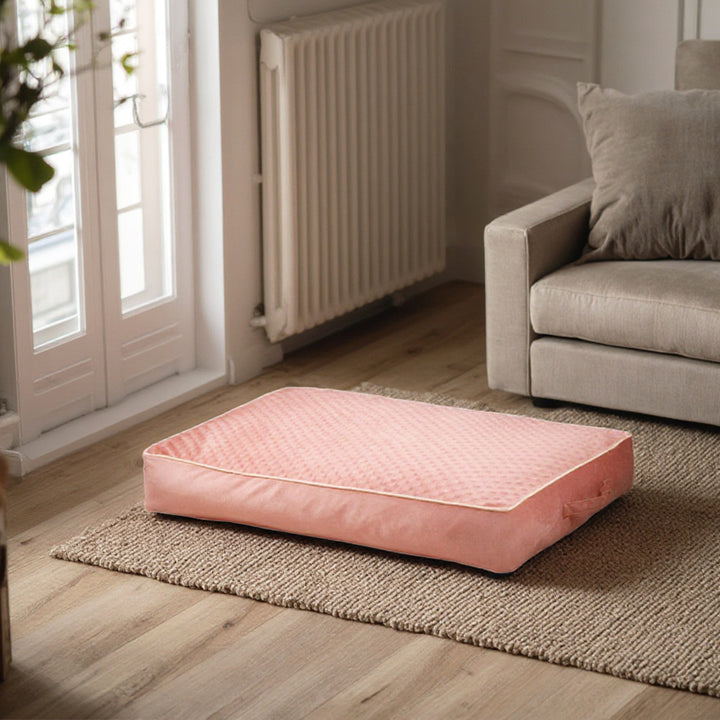 Comfort-Enhanced dog bed