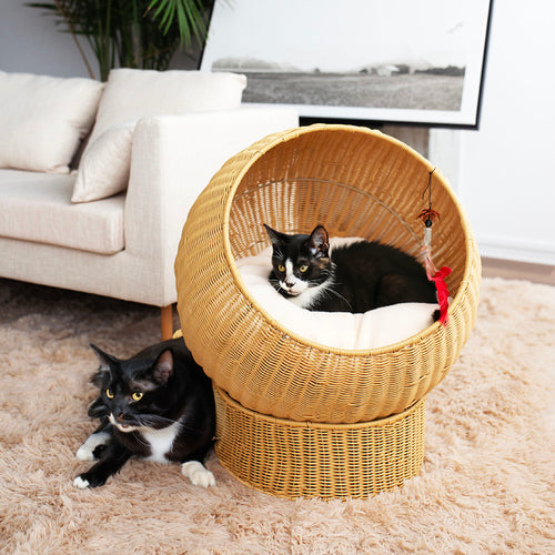 Natural fiber cat furniture Bowlift