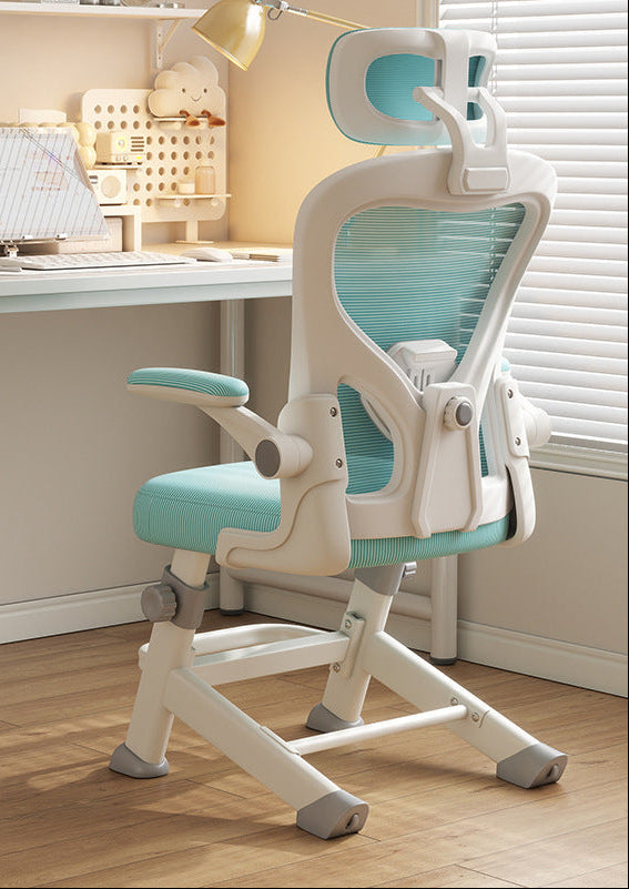 Ergonomic Office Chair Bowlift