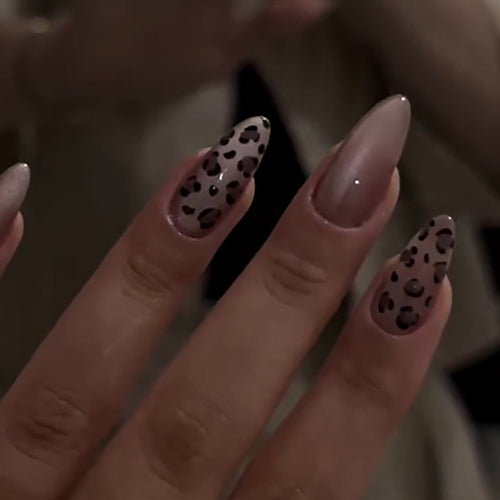 Elegant Stiletto Nail Extensions with Leopard Print Bowlift