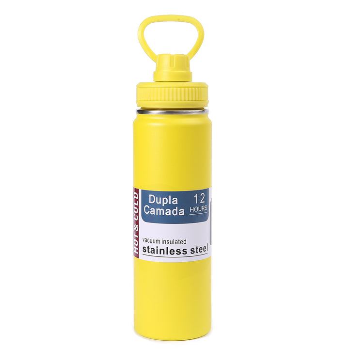 Ladies stainless steel vacuum water bottle with ergonomic handle Bowlift