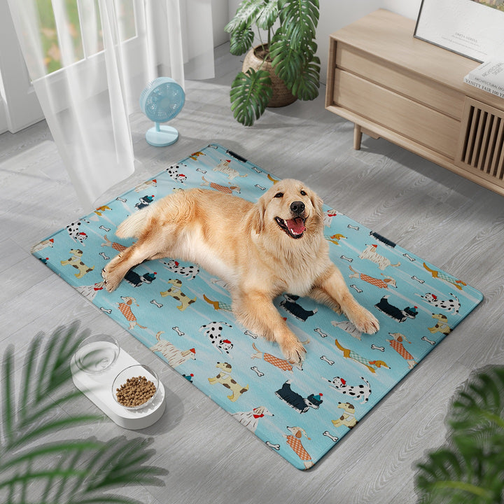 Pet-Friendly Comfort Mat Bowlift