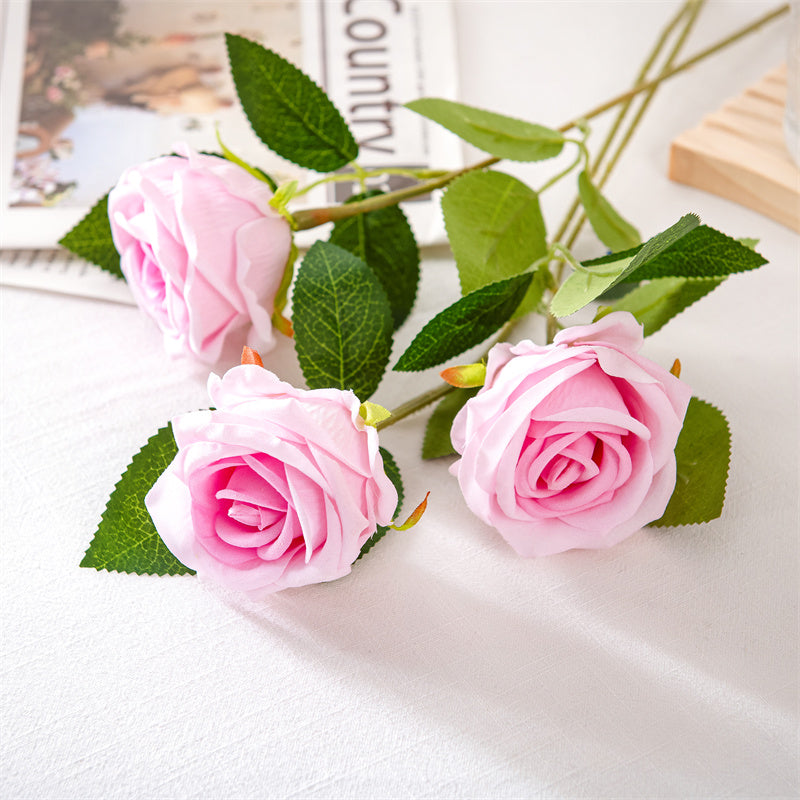 Realistic Elegant Rose Stem