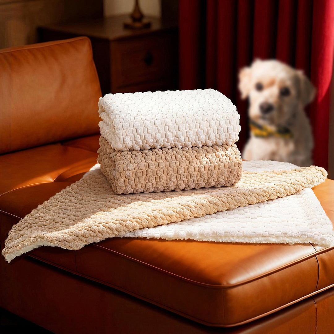 Women's Cozy and Reversible Blanket with High-Quality Surface Texture Bowlift