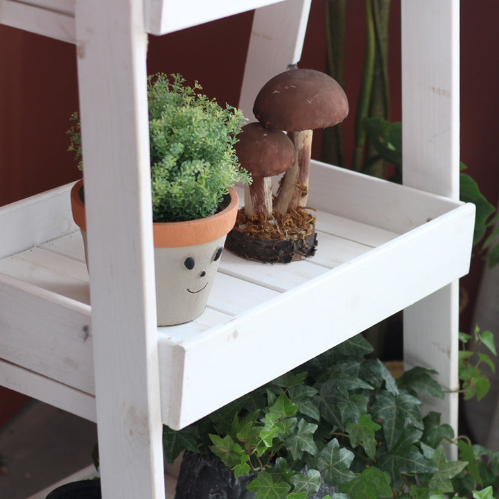 Wooden shelf Bowlift