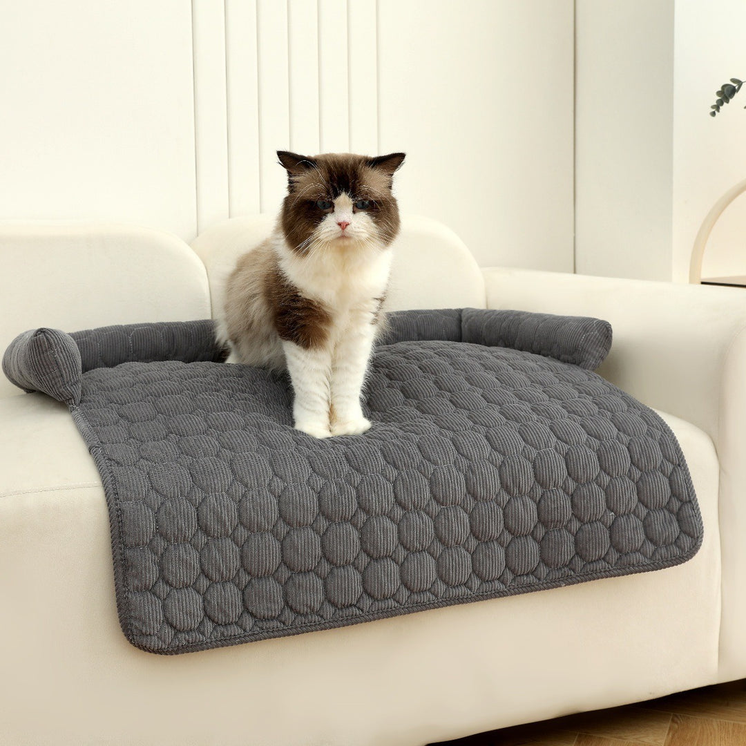 Ladies Cozy Cat Bed Bowlift