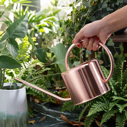 Decorative Copper Watering Can