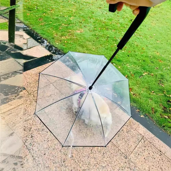Women Transparent Rain Cape Bowlift