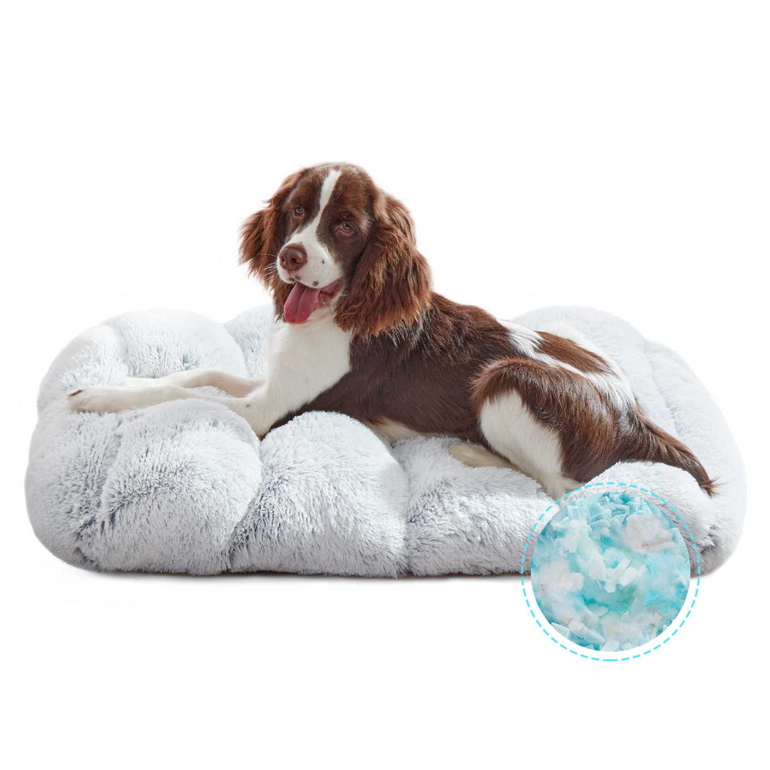 Orthopedic Dog Bed