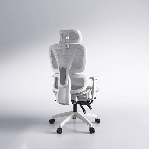 Ergonomic Office Chair Bowlift