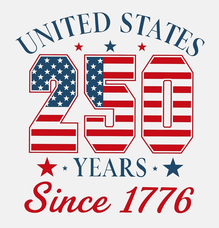 Unisex nan Patriotic semiquincentennial graphic cotton tee with distressed American flag and We the People print Bowlift