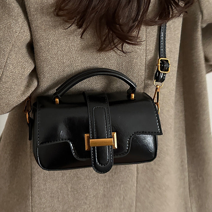 Compact Stylish Handbag  1790616953