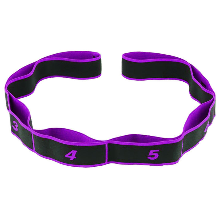 Numbered Multi-Loop Resistance Hip and Glute Training Band Bowlift