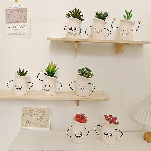 Decorative Plant Pot Bowlift