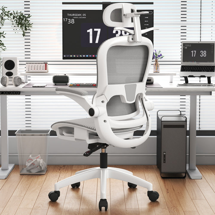 Adjustable Lumbar Support Office Chair Bowlift