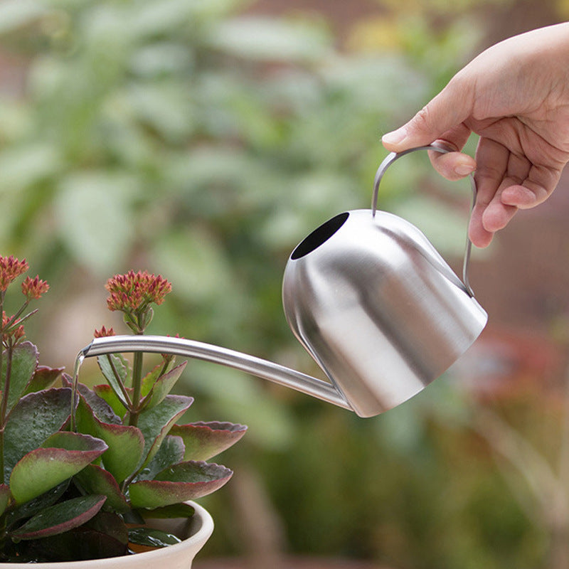 Stylish Stainless Steel Watering Can