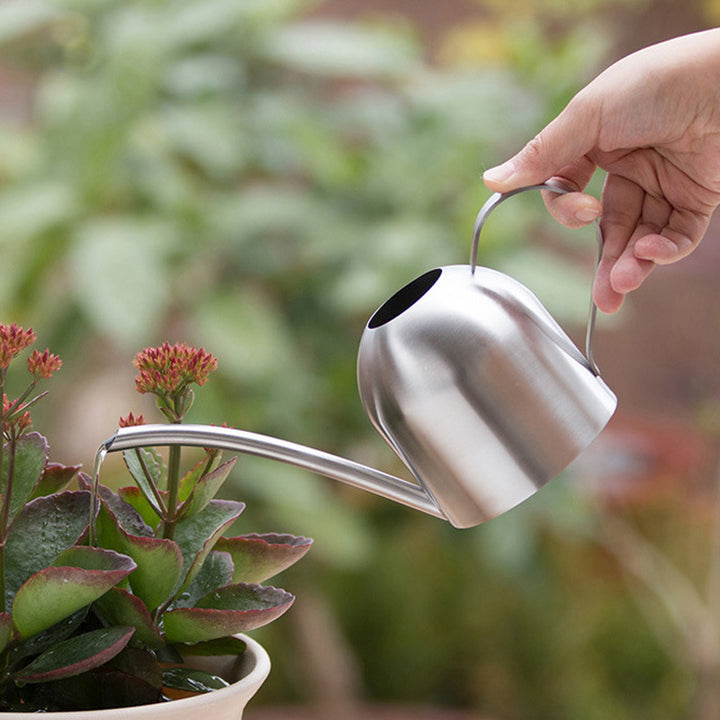 Stylish Stainless Steel Watering Can