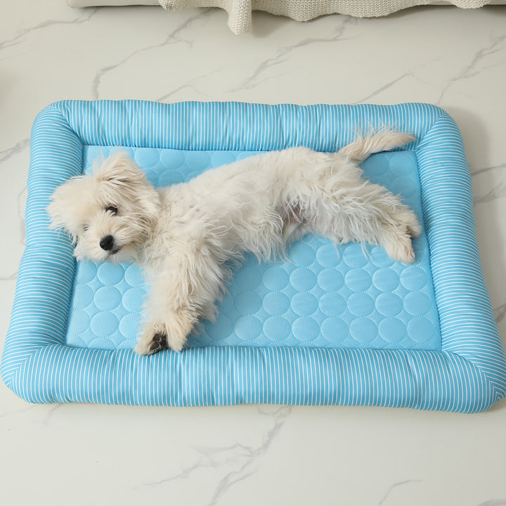 Dog Bed