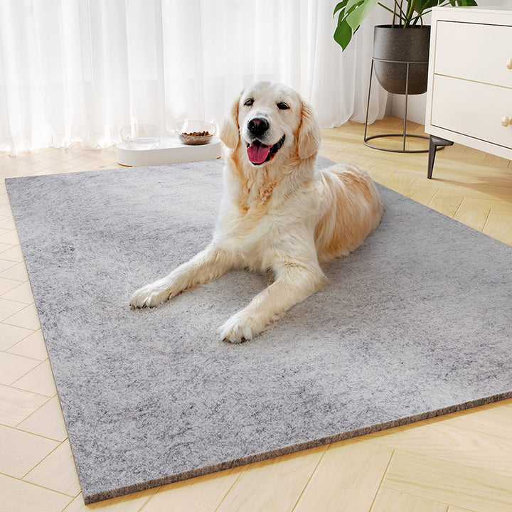 Pet-Themed Comfort Area Mat Bowlift
