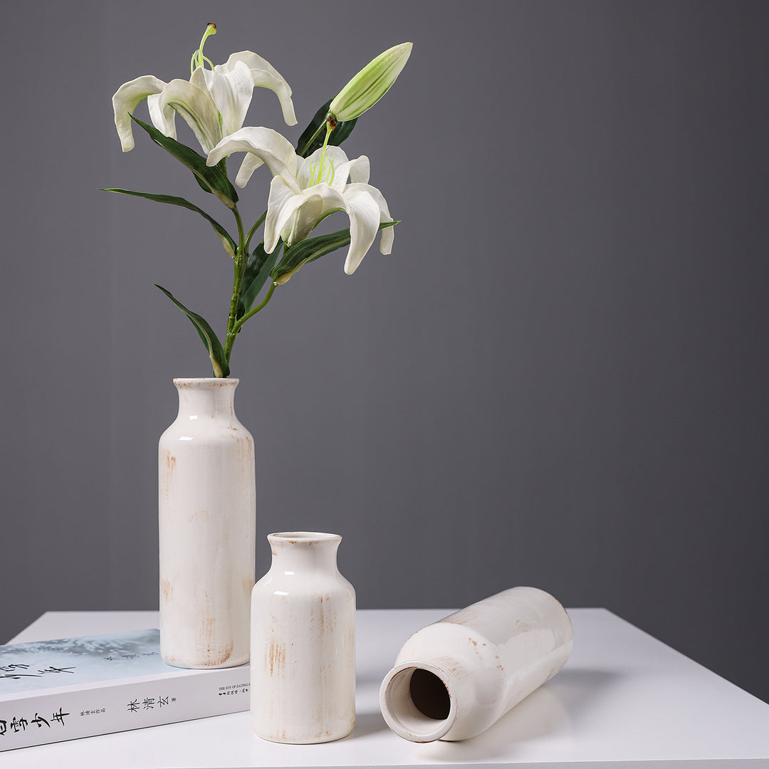 Modern Minimalist Ceramic Vase