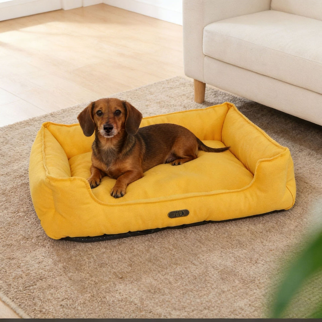 Orthopedic Supportive dog Lounge