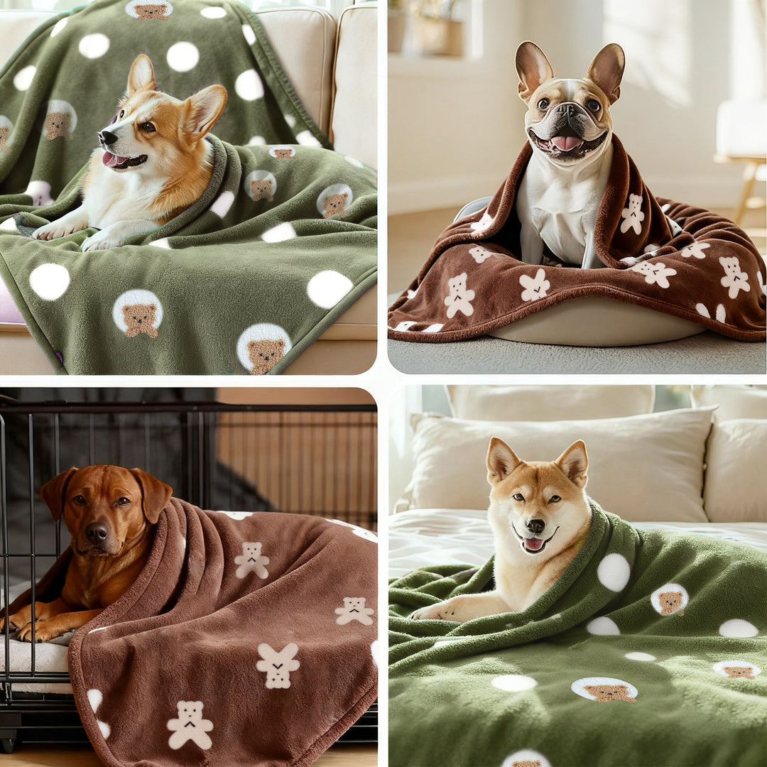 Women's Patterned Blanket Bowlift