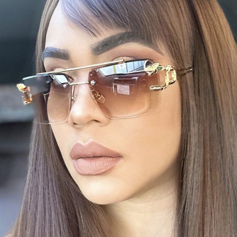 Ladies Luxury Sunglasses with Elegant Metal Detail Bowlift