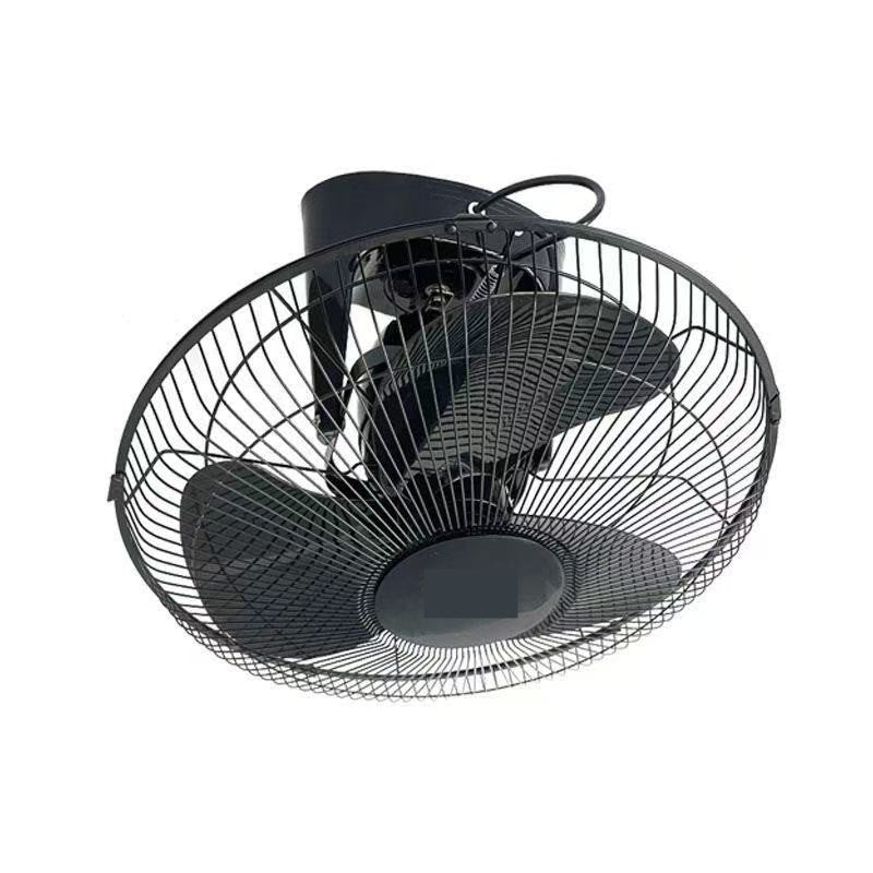 Ladies ceiling fan Bowlift
