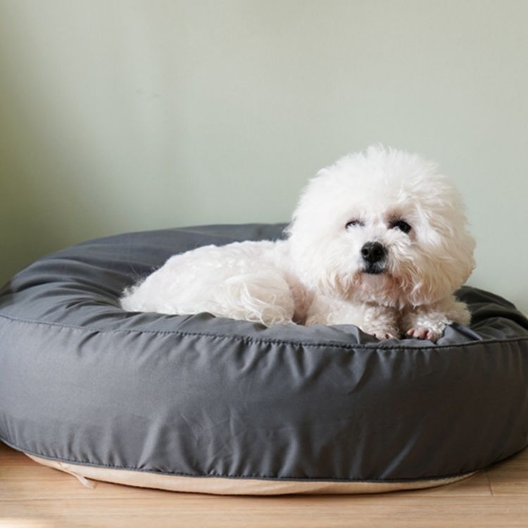 Round Plush  Lounger  Dog Bed