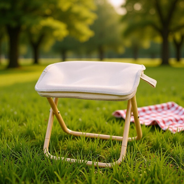 Foldable Stool With Padded Seat Bowlift