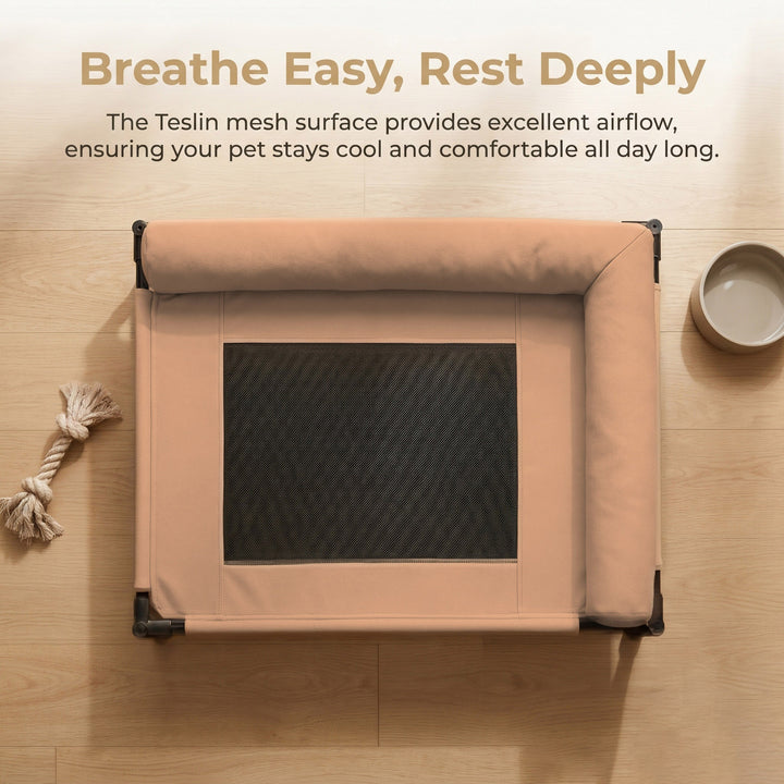 Elevated Airflow Dog Bed