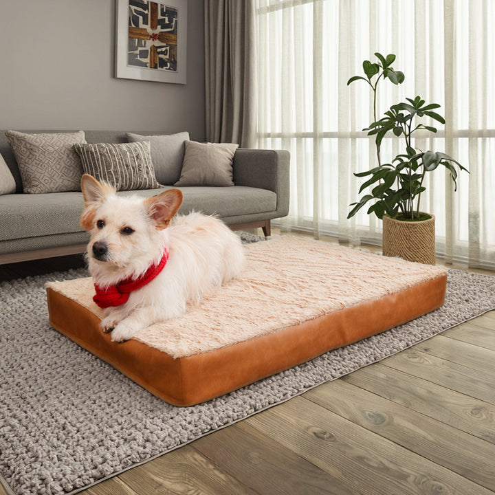 Elevated Comfort dog Lounge
