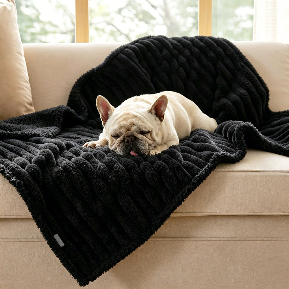 Cozy Textured Plush dog Blanket