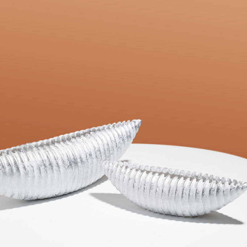 Modern Decorative Shell Shaped