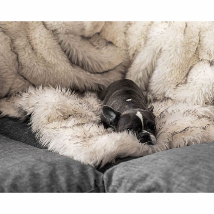 Unisex soft pet blanket with luxurious plush Bowlift