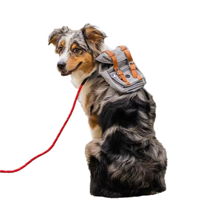Unisex practical pet backpack with safety closure Bowlift