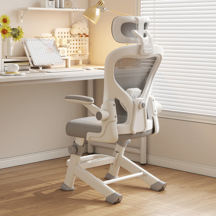 Ergonomic Office Chair Bowlift