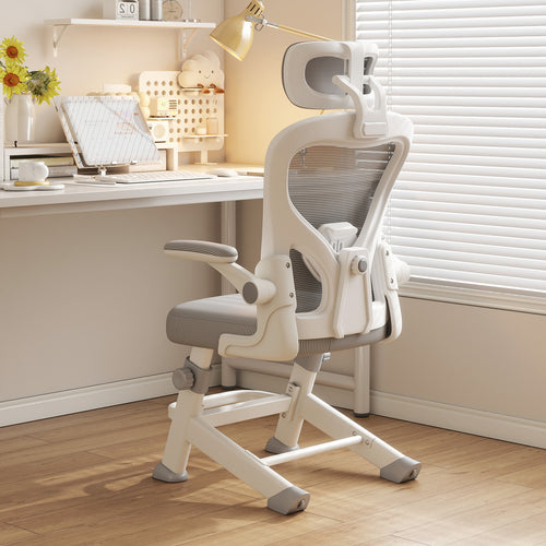 Ergonomic Office Chair Bowlift