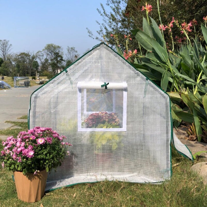 Mini Greenhouse