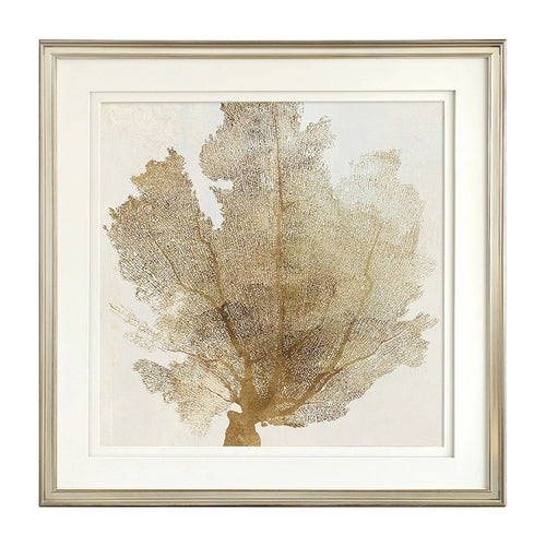 Framed Botanical Art Print