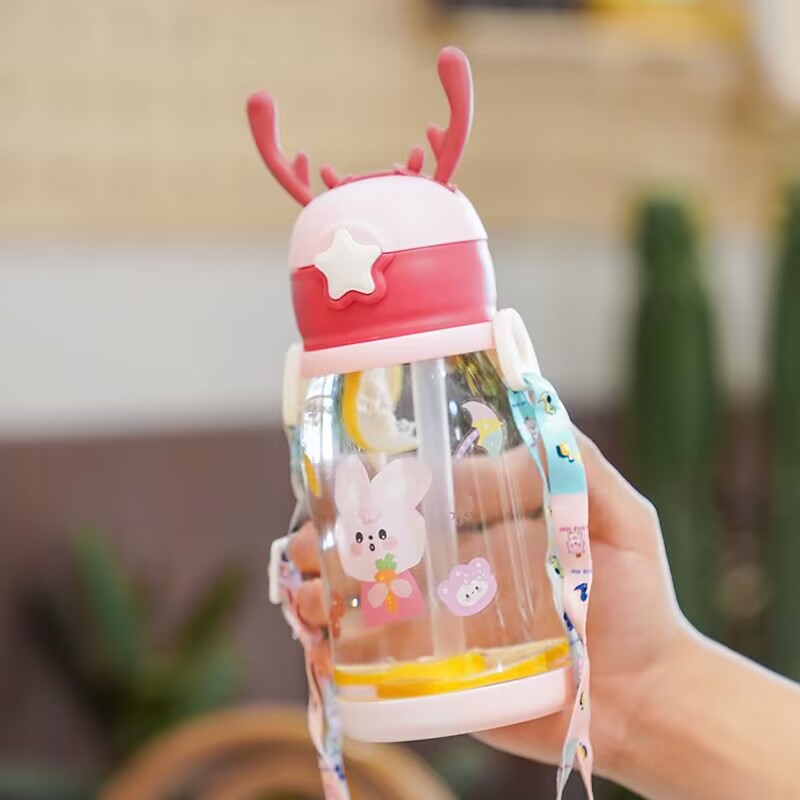 Women Glass Drinking Bottle with Secure Lid Bowlift