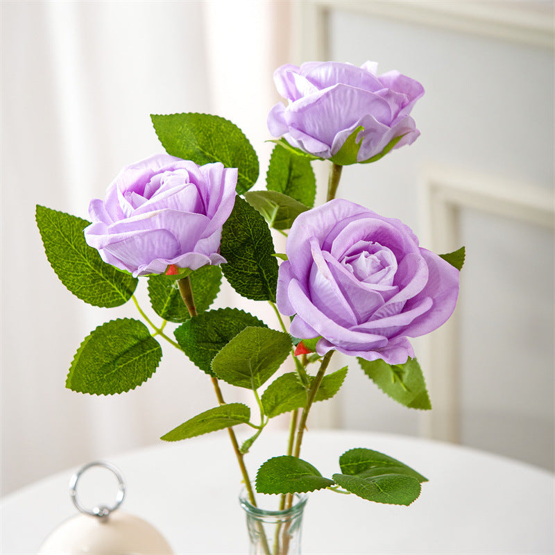 Realistic Elegant Rose Stem