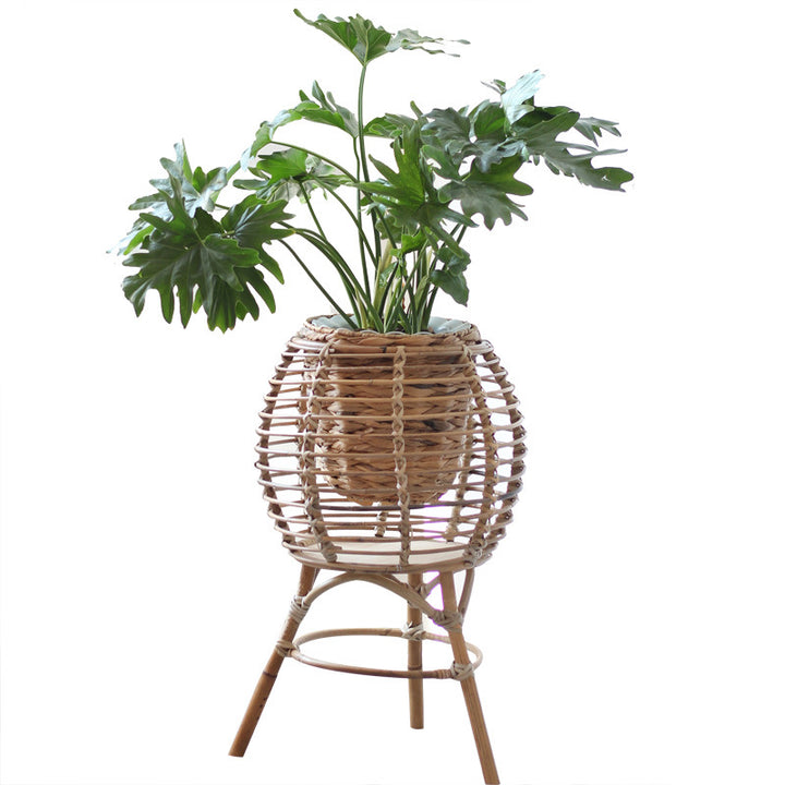 Beef Basket Chair Bowlift